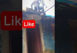 Like It For Brother Hindisong Bollywood Bollywoodsongs