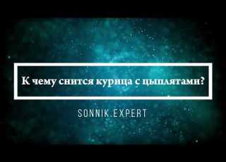  What Does It Mean To Dream Of A Hen With Chicks Online Dream Interpreter Expert