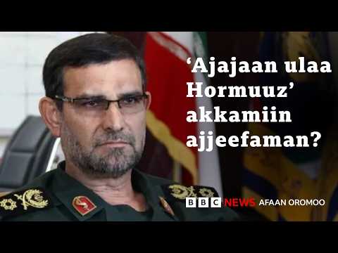 Marii Nagaa Irratti US Fi Iraan Keessaa Eenyu Amannu BBC News Afaan Oromoo