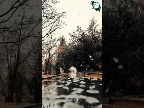 سلام سلام ك مسك الختام فيديوهات ثلج بطيء سلام سلام ك مسك الختام فيديوهات ثلج بطيء