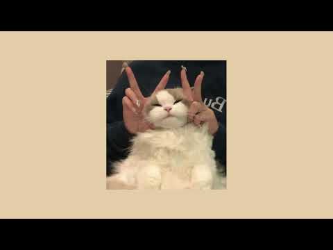 شيرين انا مش بتاعت الكلام ده بدون موسيقى Sherine Ana Mesh Bitaat El Kalam Dah Acapella شيرين انا مش بتاعت الكلام ده بدون موسيقى Sherine Ana Mesh Bitaat El Kalam Dah Acapella