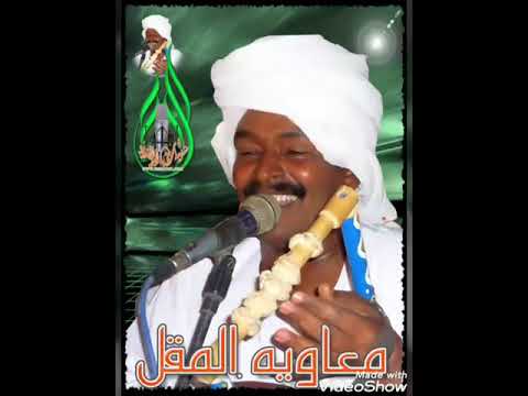 معاويه المقل سحيبـــات المواســــــم