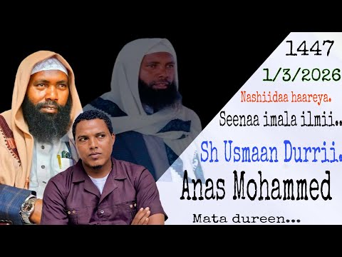 ANAS M Nashiidaa 2026 Seenaa Imala Ilmii Sh Usmaan Durrii Guutuun Isii Galgala Salaasaa Ni Dhufti