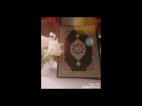 سورة الانبياء بصوت الشيخ محمد صديق المنشاوي بدون اعلانات سورة الانبياء بصوت الشيخ محمد صديق المنشاوي بدون اعلانات