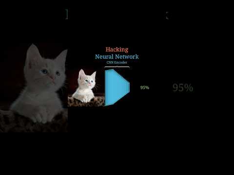 Adversarial Attacks Machinelearning Neuralnetworks Deeplearning Python Datascience