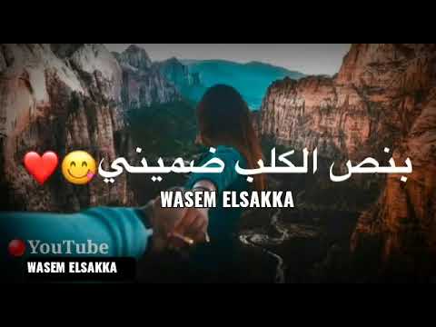 ياسر عبد الوهاب ـ شيليني ولميني تخبل