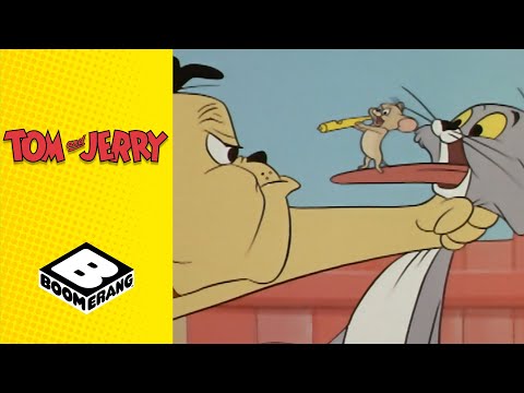 Jerry And The Dog Tom And Jerry Boomerang UK