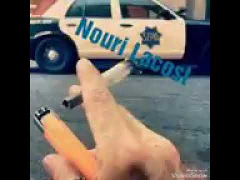 Cheb Bello Avec Tipo اليلة الدخلة نجيبو لاقمي من النخلة الاغنية الأصلية جديد راي 2019