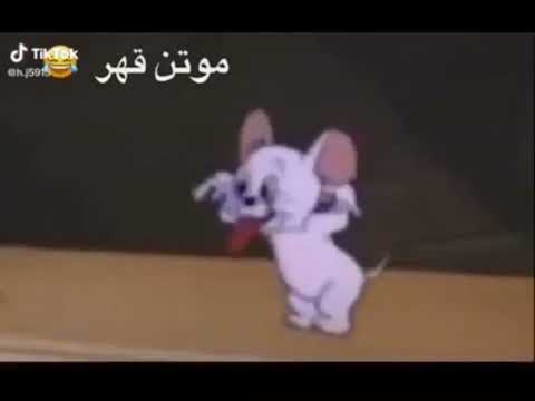موتن قهر