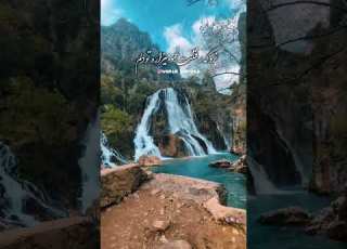 گل سرخ انگیزشی عشق حال خوب طبیعت گردی زندگی گل انرژی مثبت حس خوب صبح بخیر بهار چای