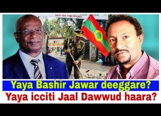  Yaya Bashir Iccitii Jaal Daawwud Kutaa 2ffaa Dhimma Artist Hirphaa Voice Of Oromia