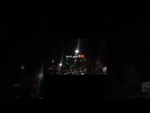 Cheb Nadir Tiririri Paw Fyp Shorts Shortvideo Song Viral Viralvideo Love Music