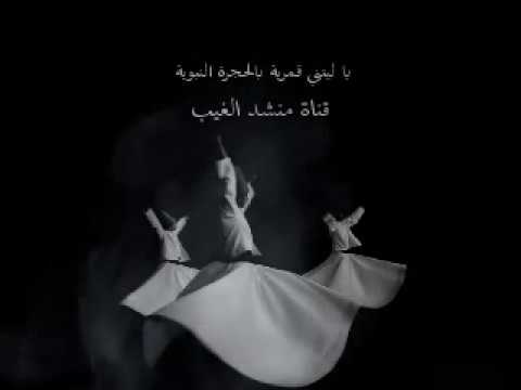 يا ليتني قمرية في الحجرة النبوية كاملة اناشيد ومدايح صوفية