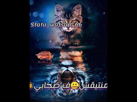 Lbenj Ghdara Statut Watsap