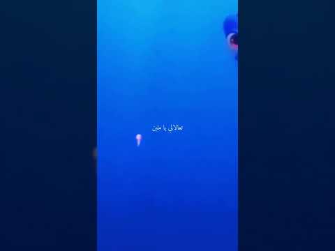 كرتون السمكه نيمو تعالالي يا ملبن