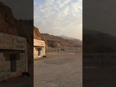 زوجة النبي لوط و اثنتان من جواريها الممسوخين و العلم لله