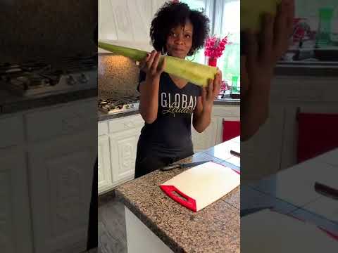 How To Make Your Own Aloe Vera Gel