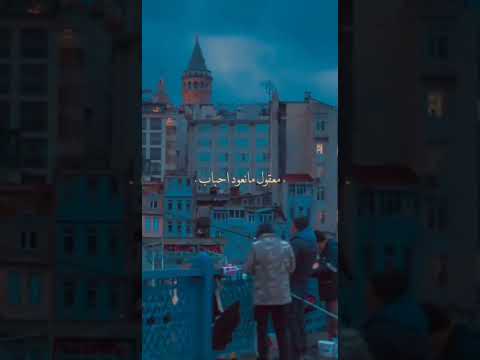 معقول ما نعود حباب بدون موسيقى