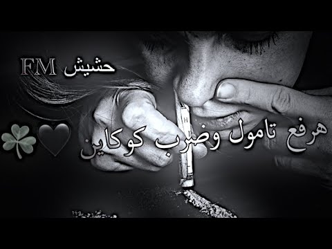 مهرجان هرفع تامول وضرب كوكاين بطيء علرايق شاهد قبل الحذف مهرجان هرفع تامول وضرب كوكاين بطيء علرايق شاهد قبل الحذف