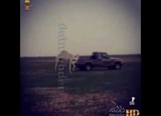 شيلة يامل قلبن لخلي حنت أشجاره