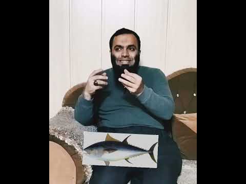 مامۆستا کۆسار سابیر ــ باسی بینینی ماسی لە خەودا