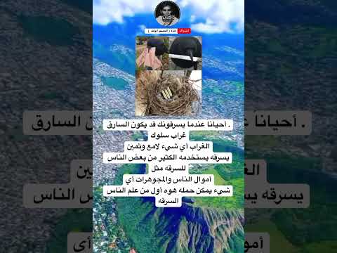 أحيانا عندما يسرقونك قد يكون السارق غراب سلوكالغراب أي شيء لامع