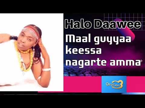 Halloo Daawwee Maal Guyyaa Keessa Na Garte Amma Orotube3