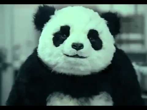 Panda Cheese Commercials All 5