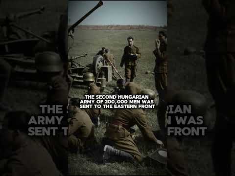 Why Did The Romanians And Hungarians ACTUALLY Go To War Against The USSR Shorts Why Did The Romanians And Hungarians ACTUALLY Go To War Against The USSR Shorts