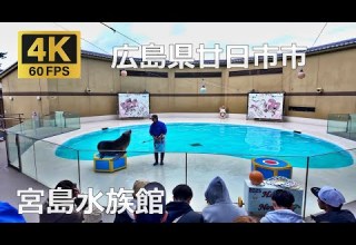 年始 宮島水族館のまちなみ 広島県廿日市市