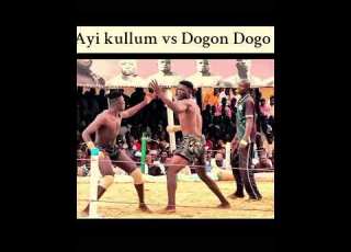 Dambe Kano 31 08 2025 Ayikullum Vs Dogon Dogo Sports Dambe Taekwando