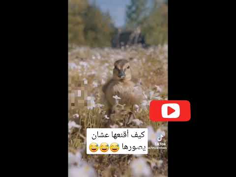 كيف اقنعها علشان يصورها ضحك Funny