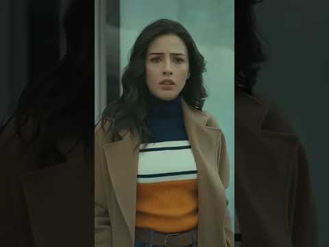 لقاء بعد غياب طويل