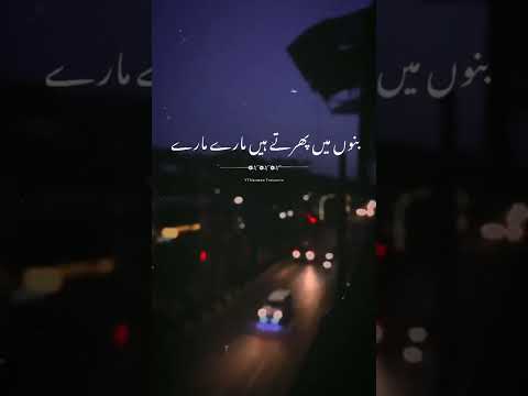 Allama Iqbal Shayari By Hafiz Suleman Misbahi Urdu Shayari Naumanthoughts Shorts Allama Iqbal Shayari By Hafiz Suleman Misbahi Urdu Shayari Naumanthoughts Shorts