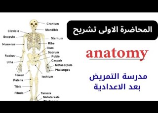 شرح الدرس الاول تشريح Anatomy سنة اولى مدرسة التمريض بعد الاعداديه النظام الجديد 2026