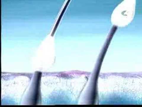 إعلان هيد أن شولدرز الممثل التركي محمد غوغسور