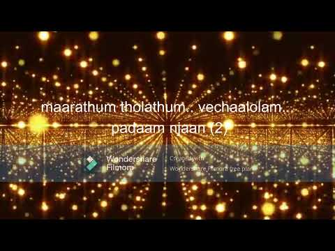 Abijith Vijayan Aakasha Palakombathu Aakashamittayee With Lyrics Youtube