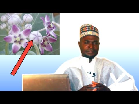 MAGANIN ISTIMNA I DA ƘARFIN MAZAKUTA Yadda Zaka Magance Waɗannan Matsaloli Cikin Sauƙi MAGANIN ISTIMNA I DA ƘARFIN MAZAKUTA Yadda Zaka Magance Waɗannan Matsaloli Cikin Sauƙi