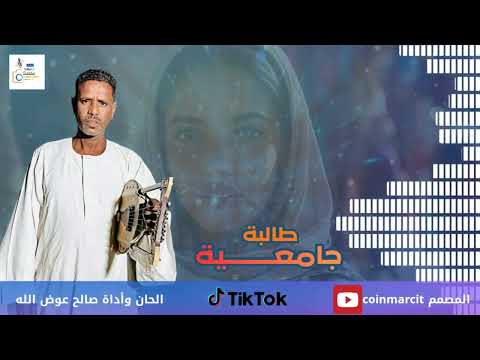 الفنان صالح عوض الله ـ طالبة جامعية الفنان صالح عوض الله ـ طالبة جامعية