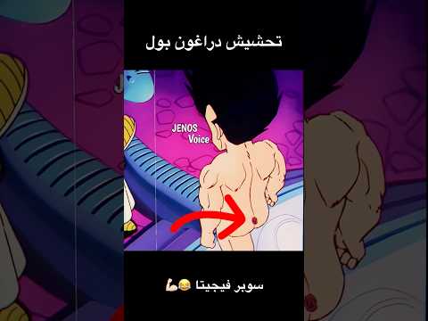 تحشيش دراغون بول دراغون بول ون بيس انمي دوبلاج تحشيش تحشيش انمي ون بيس عمك فيجيتا