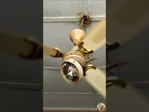 The Falling Ceiling Fan 66