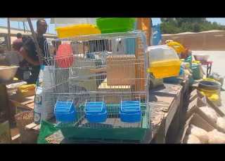 Prices Of Bird Cages And Feed At Abu Gamal S In The New Friday Market