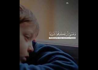  راحة القلوب