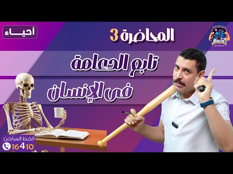 محاضرة 3 أحياء دفعة 2026 تابع الدعامة في الإنسان القفص الصدري الهيكل الطرفي