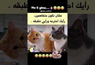 متافقين ولا لا ضحك Ytshorts Yt Ytviral Viral Explore اكسبلور ميمز Foryou Vuralshort