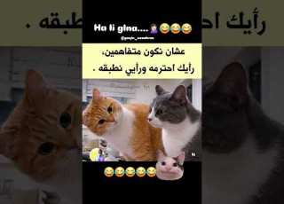 متافقين ولا لا ضحك Ytshorts Yt Ytviral Viral Explore ابلور ميمز Foryou Vuralshort