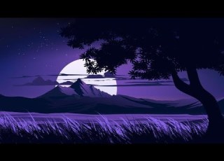  القارئ ماجد الحازمي بدون مؤثرات