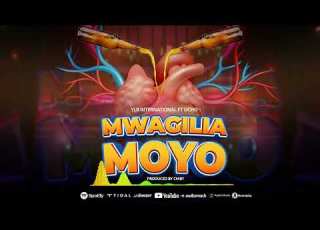 Ylb International Ft Ucho Mwagilia Moyo Official Audio