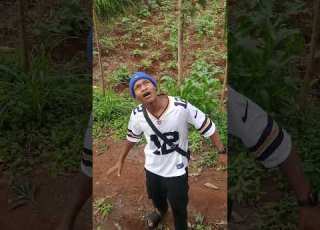  Wanasajans Leo Wamefika Mbinguni Na Ngazi Funny Comedy Laugher Memes Whatssofunny