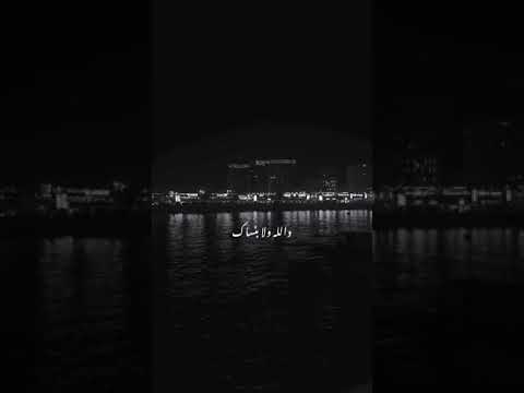 عمرو دياب معاك قلبي وبلاش تغيب عني بتوحشني عمرو دياب معاك قلبي وبلاش تغيب عني بتوحشني